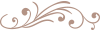 wave icon